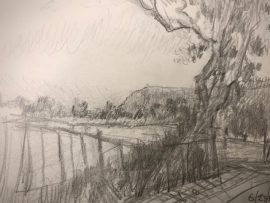 SKETCH FROM LOUISE LEYDON  PARK    PENCIL  6″ X 15″ 6-23-2022
