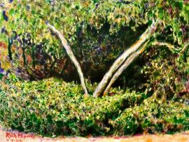 TREE IN REETA PARK  SAN JUAN CAPISTRANO CA.    WATERCOLOR  9″ X 12″  4-4-2021